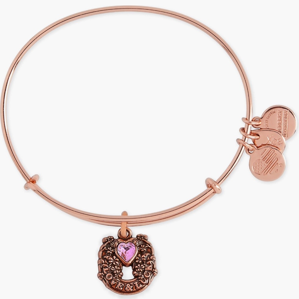 Alex and Ani Rose Gold Love & Luck Charm Bracelet
